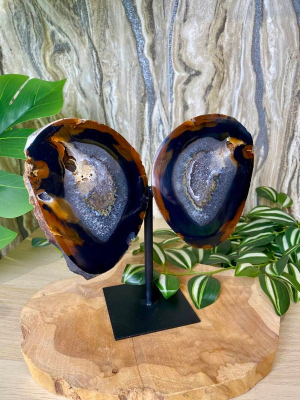 Agaat vlinder op standaard