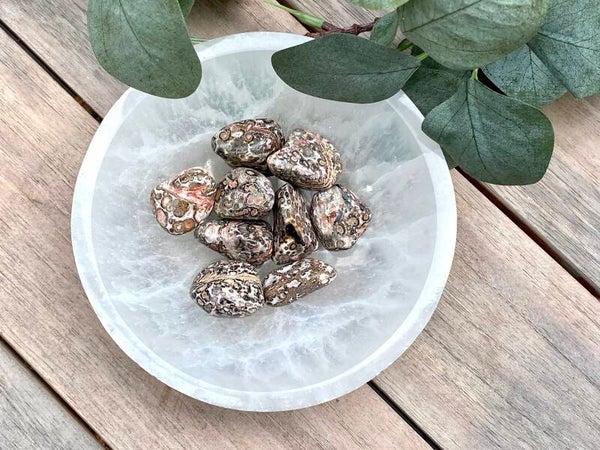 Leopard skin jaspis trommelstenen