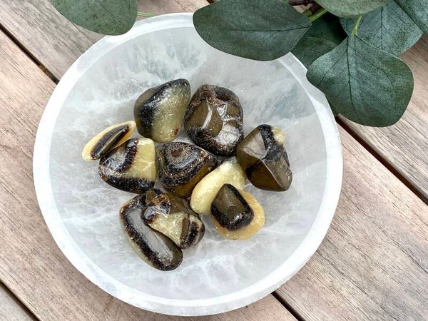 Septarie trommelstenen