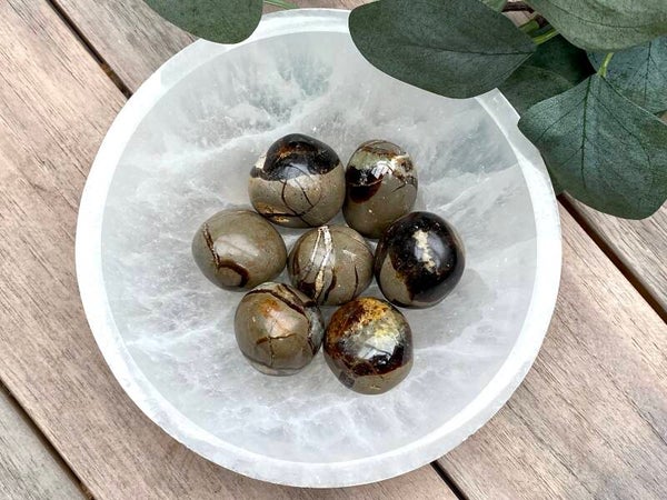 Septarie rond trommelstenen