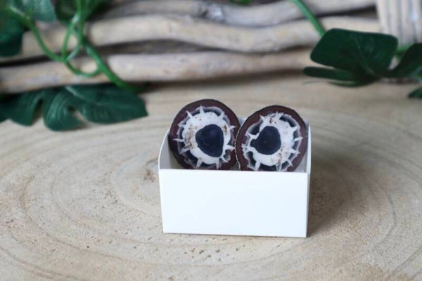 Septarie Geode paar 4