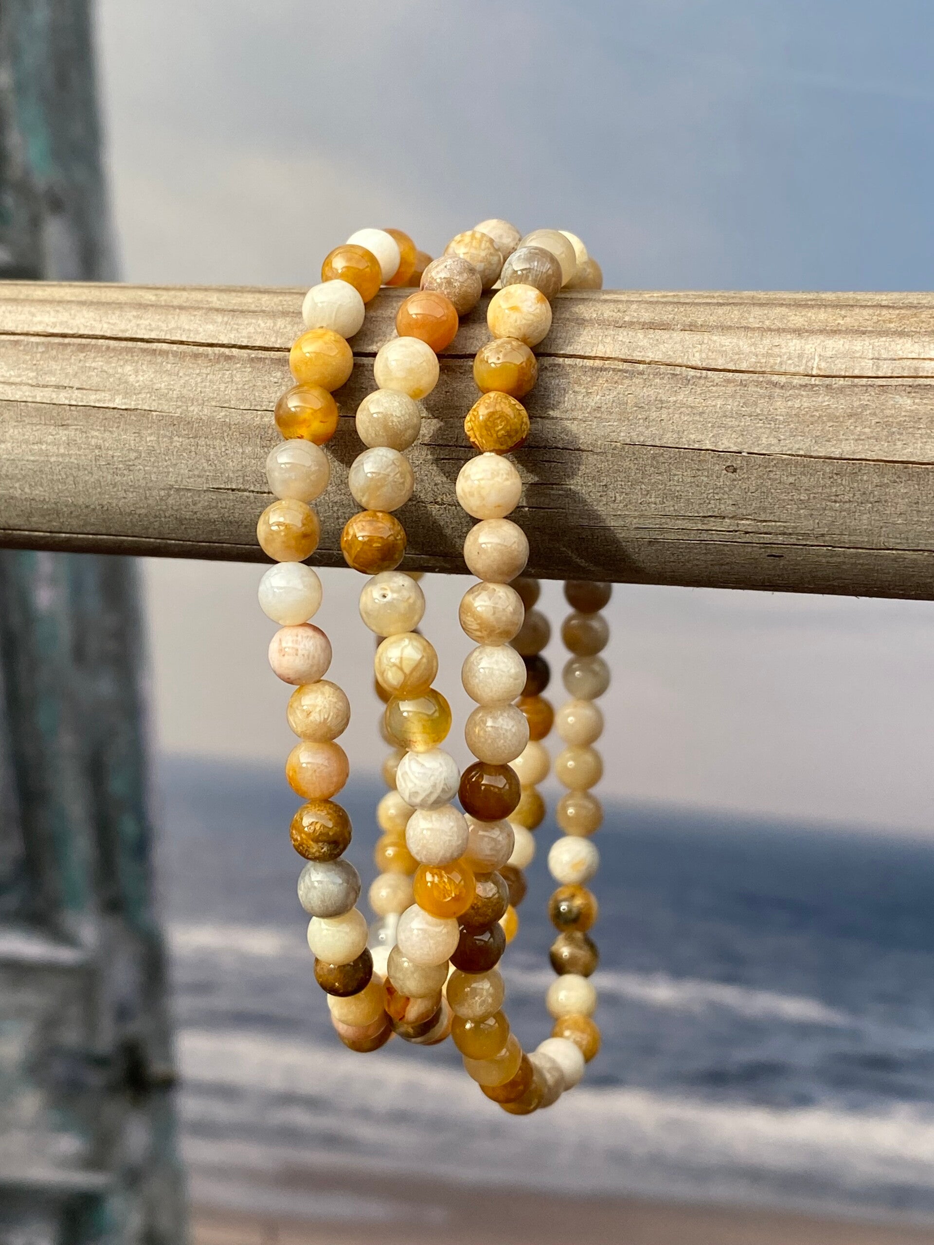 Fossiel koraal armband 4mm