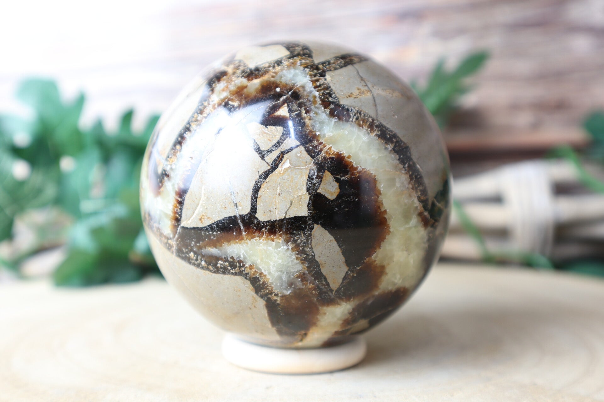 Septarie grote sphere