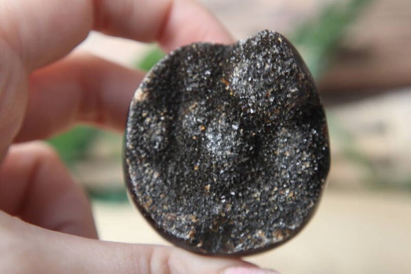 Septarie ei handsteen