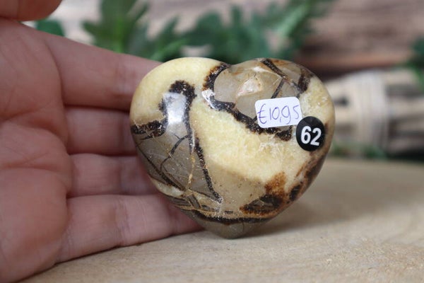 Septarie hart 62