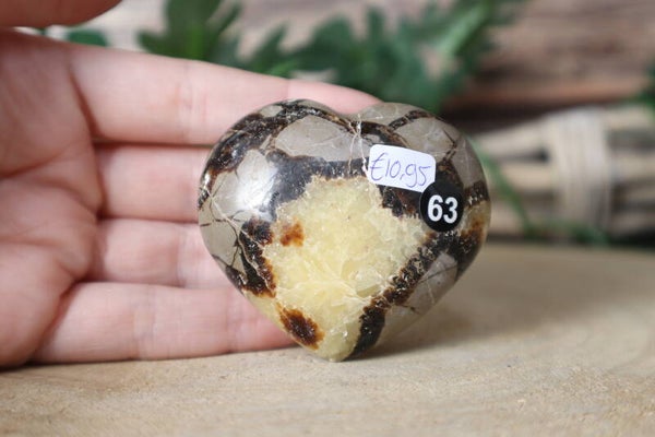 Septarie hart 63