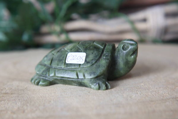 Serpentijn schildpad 70