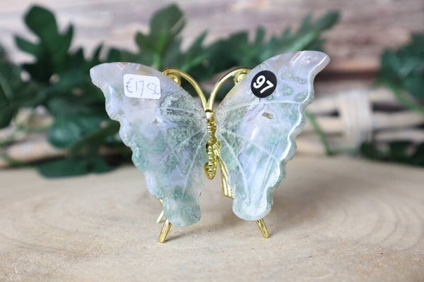 Mos agaat vlinder 97