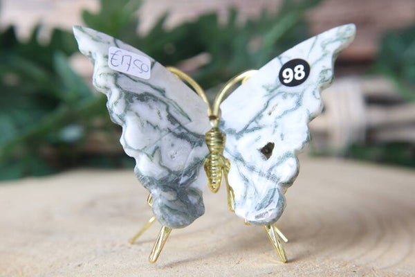 Mos agaat vlinder 98