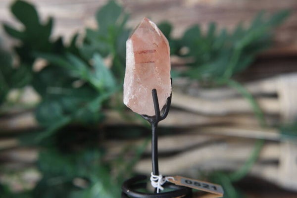 Pink Scarlett Lemurian puntje op standaard #0521