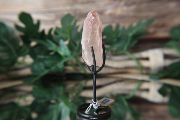 Pink Scarlett Lemurian puntje op standaard #0522