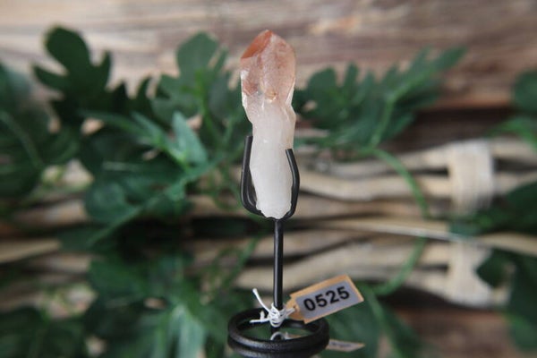 Pink Scarlett Lemurian puntje op standaard #0525