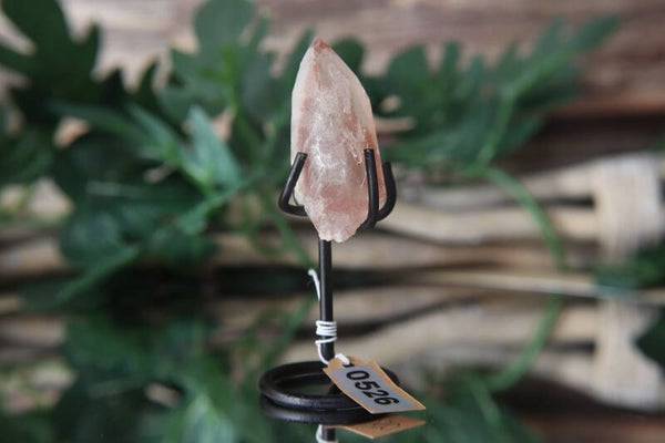 Pink Scarlett Lemurian puntje op standaard #0526