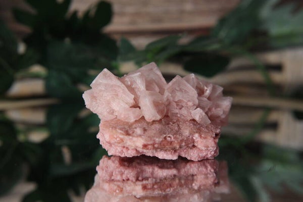 Candy Pink Haliet #0682