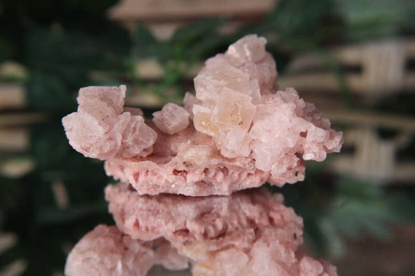Candy Pink Haliet #0683