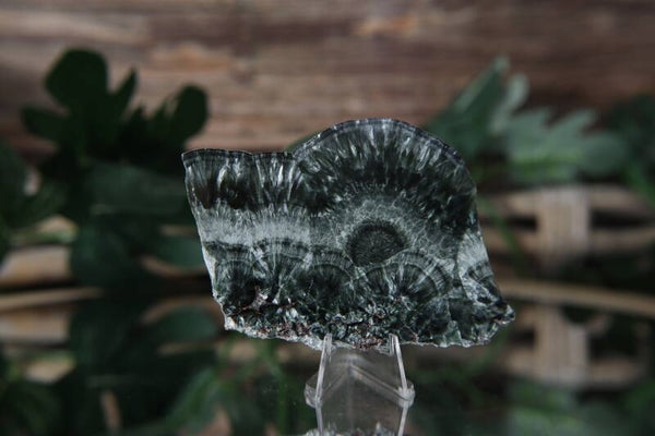 Forest Green Serafiniet #0689 (seraphinite, seraphiniet)