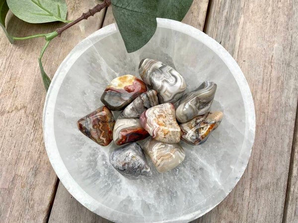 Crazy Lace Agate trommelstenen