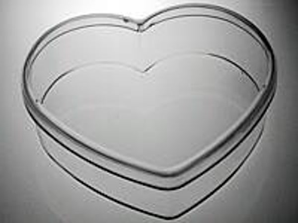 SC/8163/163206 plastic hart 14cm - ds 25st