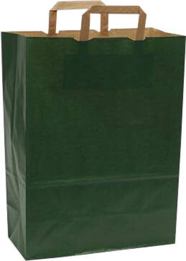 Tas papier groen plat handvat BIO  32+15x43cm - ds 250st - 278244gr (levertijd ca 5 werkdagen)