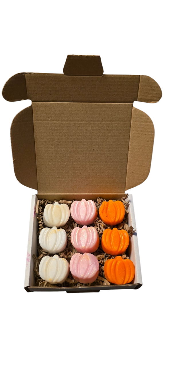 9 pumpkin waxmelts in een doosje.