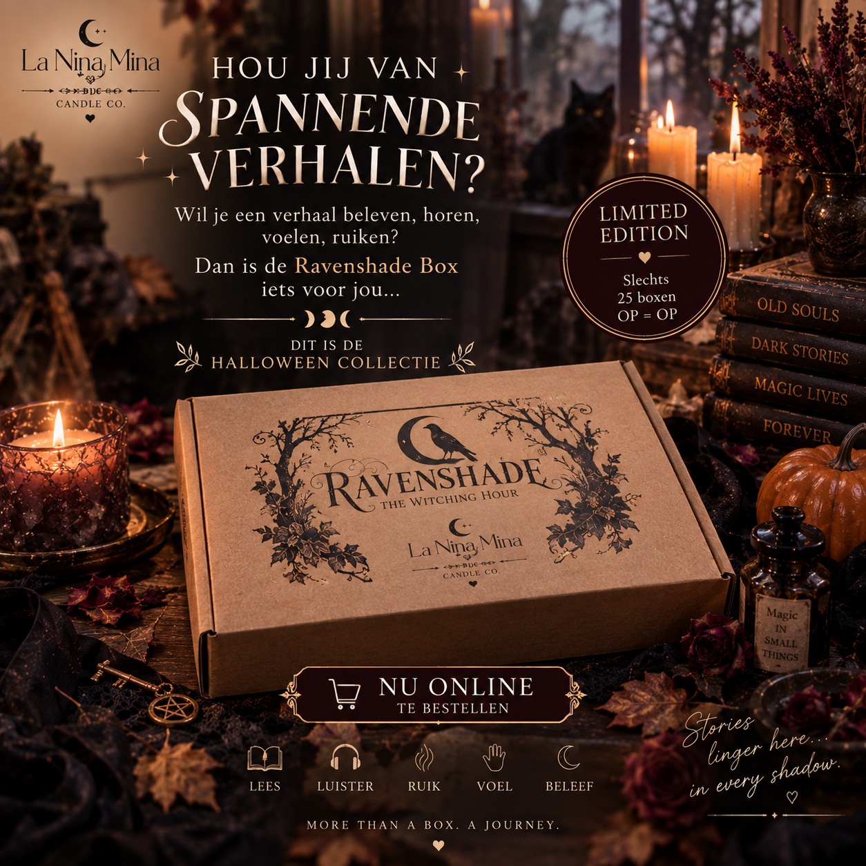 Ravenshade the witching hour experiencebox