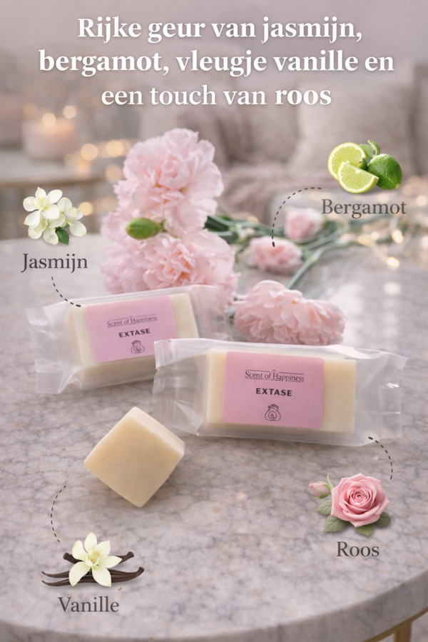 Extase – Waxmelts (4 stuks)