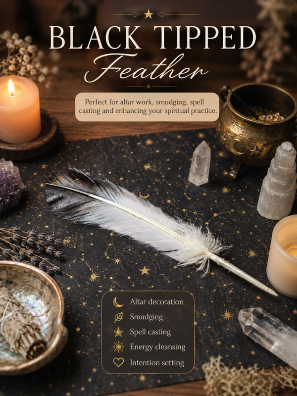 Black Tipped Feather