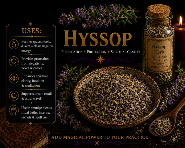 Hyssop