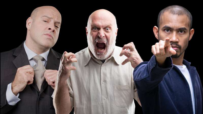 Agressie agressievormen frustratieagressie witteboordenagressie bedreigen