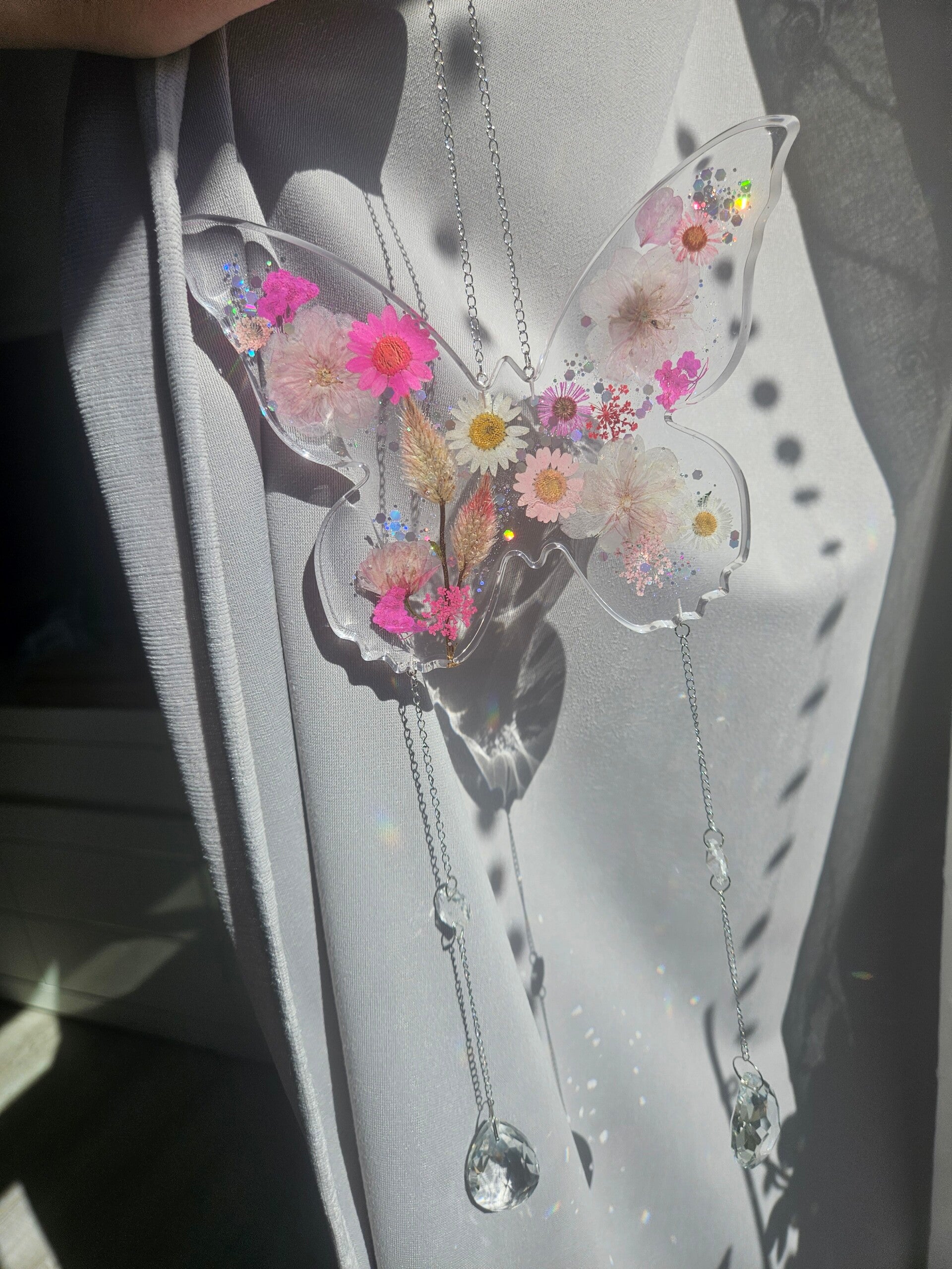 Sonnenfänger Schmetterling