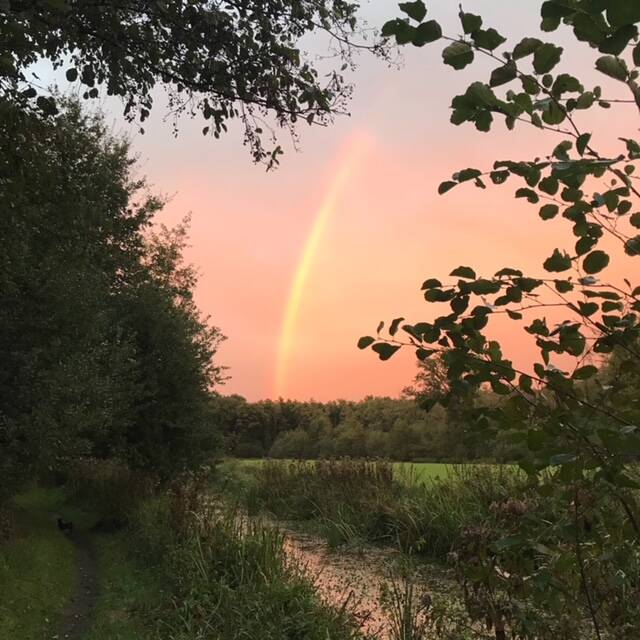 broekhuizerheide omgeving