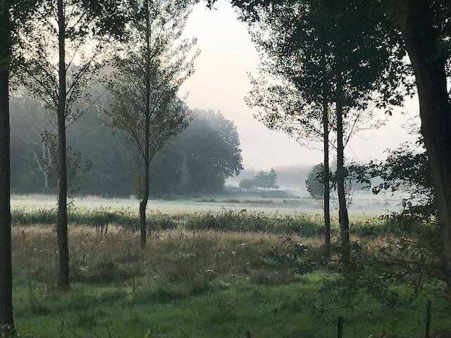 broekhuizerheide omgeving