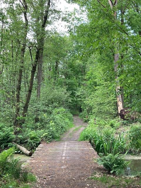 broekhuizerheide omgeving