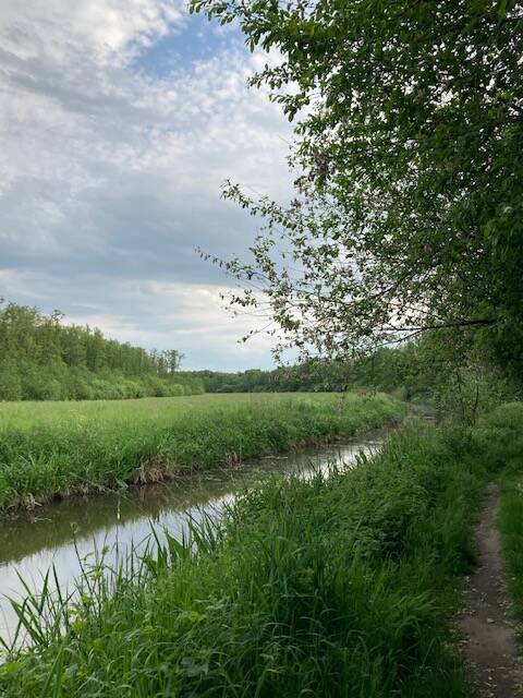 broekhuizerheide omgeving