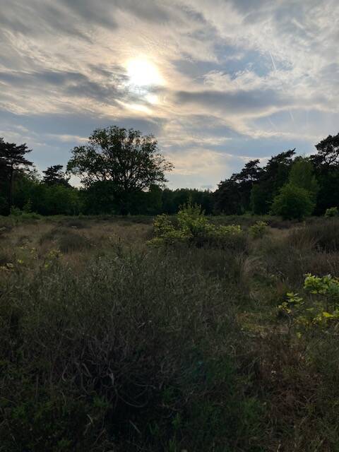 broekhuizerheide omgeving