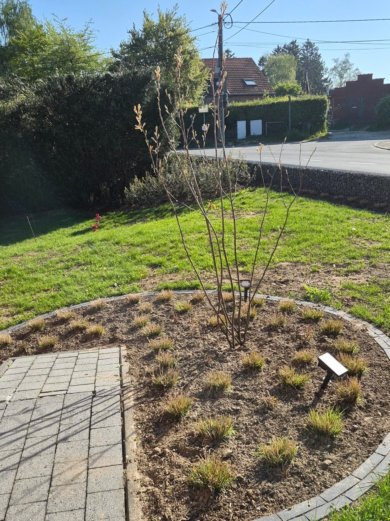 Tuinonderhoud en aanleg