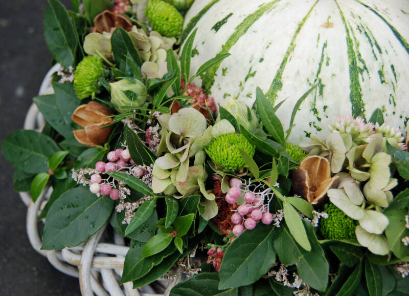 Workshops Herfst 2025