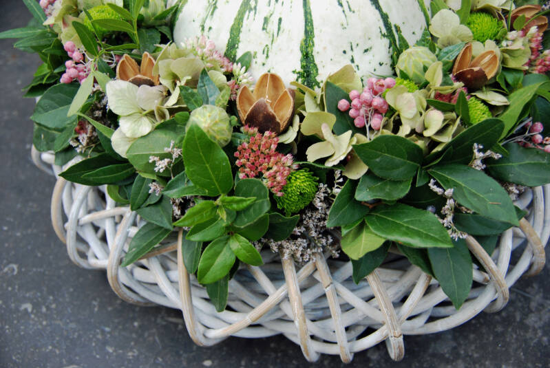 Workshops Herfst 2025