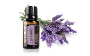 Doterra Lavendel 15 ml