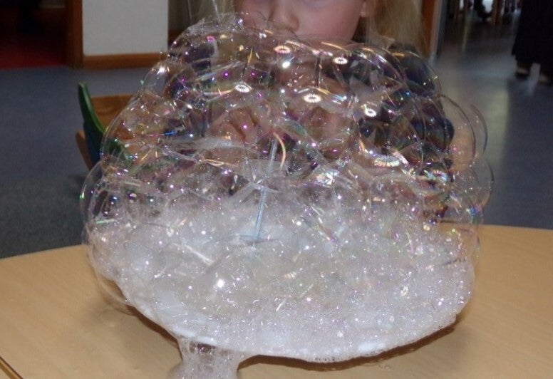 Bodenbild aus einem Kett Angebot zum Sumpfstampfer