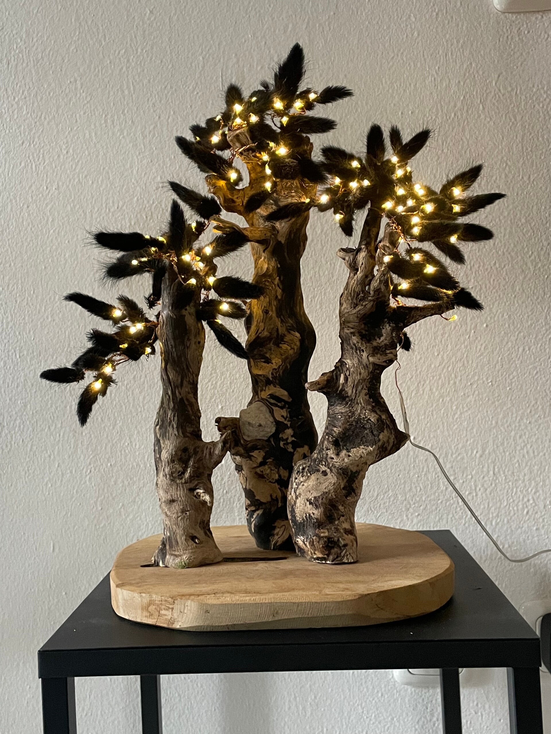 Waldlampe