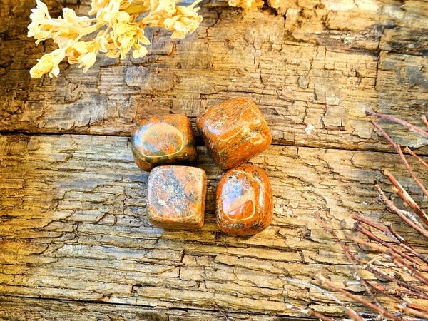 Trommelstein Unakite A-Qualität