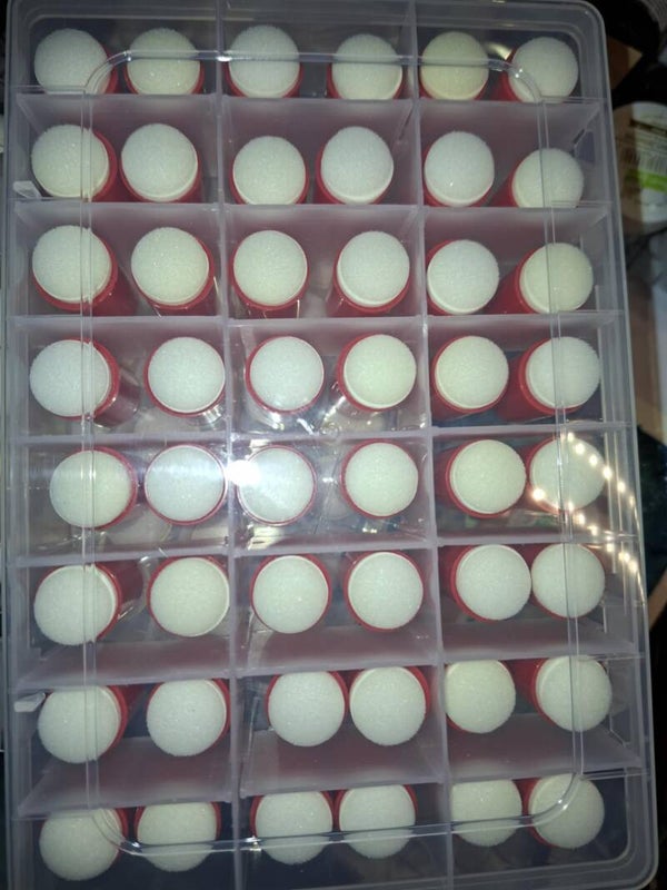 Finger Dauber 48 Stück aus Holland von Craft2Love