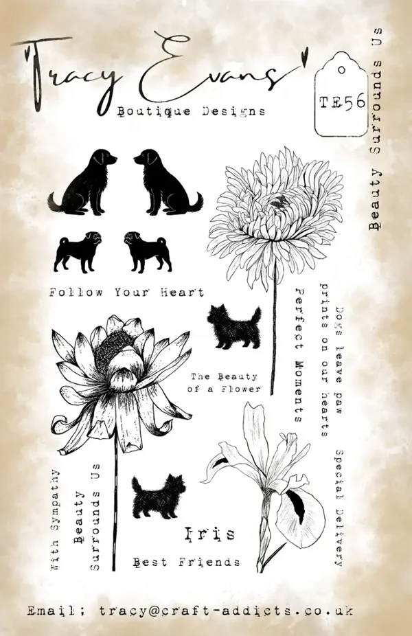 Tracy Evans Boutique Designs TE056 - Beauty Surrounds Us (A5 Stamp)