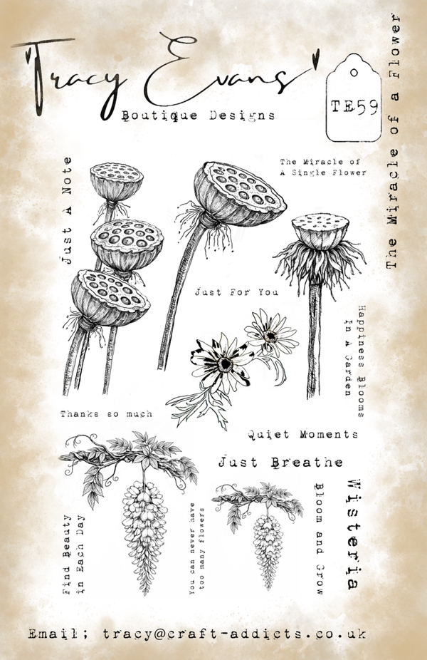 Tracy Evans Boutique Bundle – Briefmarkenpaket TE59, TE60, TE61, TE62 A5-Briefmarken plus ST009, SS37, SS38, SS39