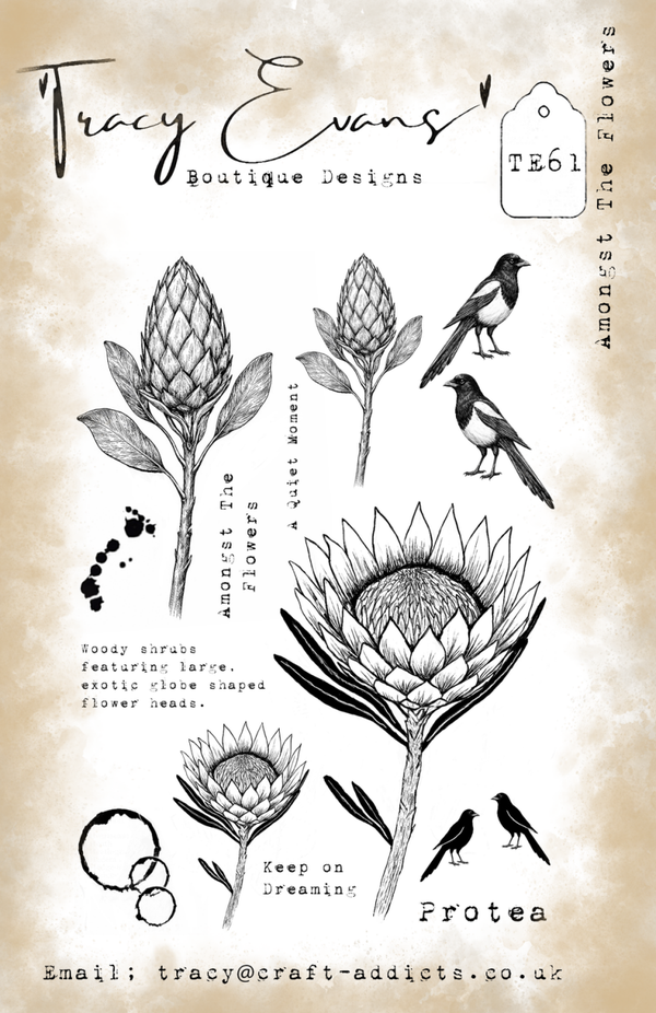 Tracy Evans Boutique Designs  TE061 – Zwischen den Blumen (A5-Briefmarke)