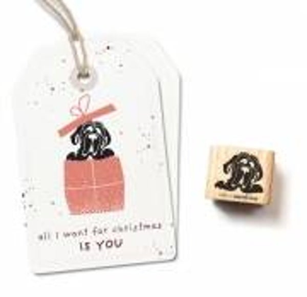 Cats on appletrees Hundekopf Hervé