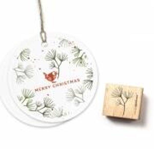 Cats on appletrees Pinienzweig 3