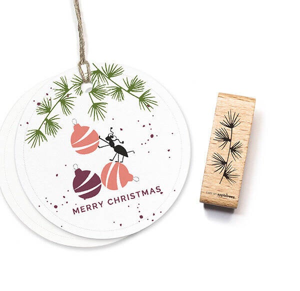 Cats on appletrees Pinienzweig