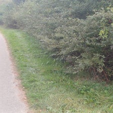 img-20240923-wa0011-standard.jpg